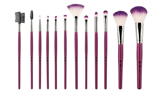 Max Touch Professional 12 Pcs Makeup Brush Set MT-2420