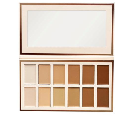 Max Touch Professional Foundation Palette (12 Color) MT-2553